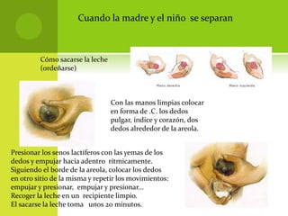 Cuando la madre y el niño se separan
Cómo sacarse la leche
(ordeñarse)
Con las manos limpias colocar
en forma de .C. los dedos
pulgar, índice y corazón, dos
dedos alrededor de la areola.
Presionar los senos lactíferos con las yemas de los
dedos y empujar hacia adentro rítmicamente.
Siguiendo el borde de la areola, colocar los dedos
en otro sitio de la misma y repetir los movimientos:
empujar y presionar, empujar y presionar...
Recoger la leche en un recipiente limpio.
El sacarse la leche toma unos 20 minutos.
 