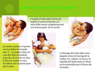 Cuando el niño abre la boca la
madre lo acerca al pecho y el
niño debe tomar completamente
una buena parte de la areola.
La madre sostiene el pecho
con los dedos formando
una .C.. La madre coloca la
cara del niño mirándole
el pecho. Si el niño no abre
la boca la madre le roza
los labios con el pezón para
que la abra.
La barriga del niño debe estar
pegada contra la barriga de la
madre y la cabeza, la nuca y la
espalda del bebé están en línea
recta sostenidas por el brazo de
la madre.
¿Cómo colocar el niño al pecho?
 