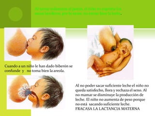 Al tomar solamente el pezón, el niño no exprime los
senos lactíferos, por lo tanto, no extrae bien la leche.
Cuando a un niño le han dado biberón se
confunde y no toma bien la areola.
Al no poder sacar suficiente leche el niño no
queda satisfecho, llora y rechaza el seno. Al
no mamar se disminuye la producción de
leche. El niño no aumenta de peso porque
no está sacando suficiente leche.
FRACASA LA LACTANCIA MATERNA
 