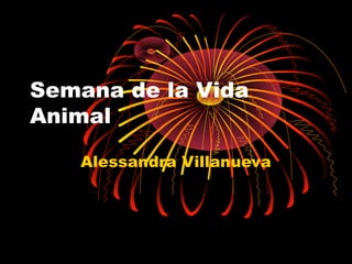 Semana de la Vida
Animal
Alessandra Villanueva
 