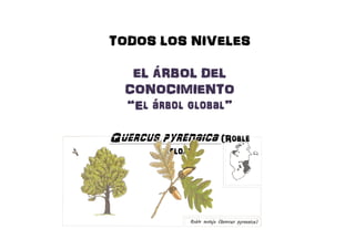 TODOS LOSTODOS LOSTODOS LOSTODOS LOS NIVELESNIVELESNIVELESNIVELES
ELELELELELELELEL ÁRBOLÁRBOLÁRBOLÁRBOLÁRBOLÁRBOLÁRBOLÁRBOL DELDELDELDELDELDELDELDEL
CONOCIMIENTOCONOCIMIENTOCONOCIMIENTOCONOCIMIENTOCONOCIMIENTOCONOCIMIENTOCONOCIMIENTOCONOCIMIENTO
“El árbol global”“El árbol global”“El árbol global”“El árbol global”
QuercusQuercusQuercusQuercus pyrenaicapyrenaicapyrenaicapyrenaica (Roble(Roble(Roble(Roble
melojo)melojo)melojo)melojo)
 