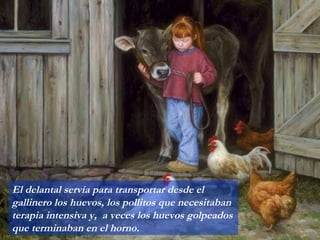 El delantal servía para transportar desde el gallinero los huevos, los pollitos que necesitaban terapia intensiva y,  a veces los huevos golpeados que terminaban en el horno. 