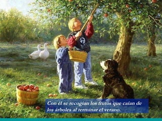 Con él se recogían los frutos que caían de los árboles al terminar el verano. 