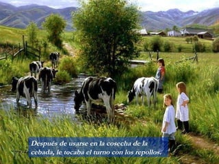 Después de usarse en la cosecha de la cebada, le tocaba el turno con los repollos. 