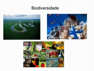 Biodiversidade
 