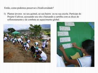 Então, como podemos preservar a biodiversidade?

1) Plantar árvores no seu quintal, ao seu bairro ou na sua escola. Participe do
   Projeto Cultivar, acessando seu site e baixando a cartilha com as dicas de
   reflorestamento e de combate ao aquecimento global.
 
