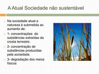 A Atual Sociedade não sustentável

   Na sociedade atual a
    natureza é submetida ao
    aumento de:
   1- concentrações de
    substâncias extraídas da
    crosta terrestre.
   2- concentração de
    substâncias produzidas
    pela sociedade.
   3- degradação dos meios
    físicos
 