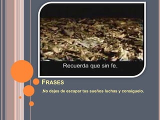 Frases.No dejes de escapar tus sueños luchas y consíguelo.