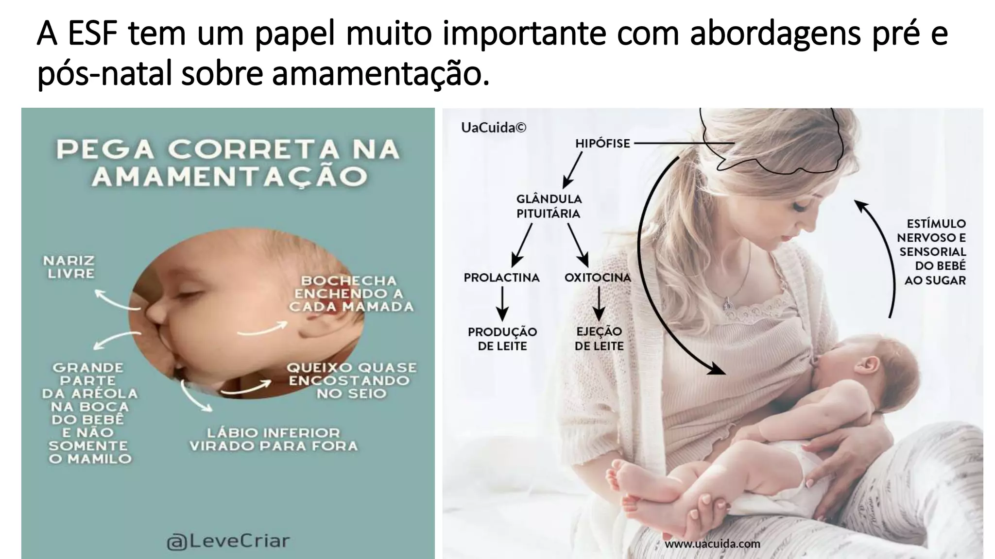 A ESF tem um papel muito importante com abordagens pré e
pós-natal sobre amamentação.
 