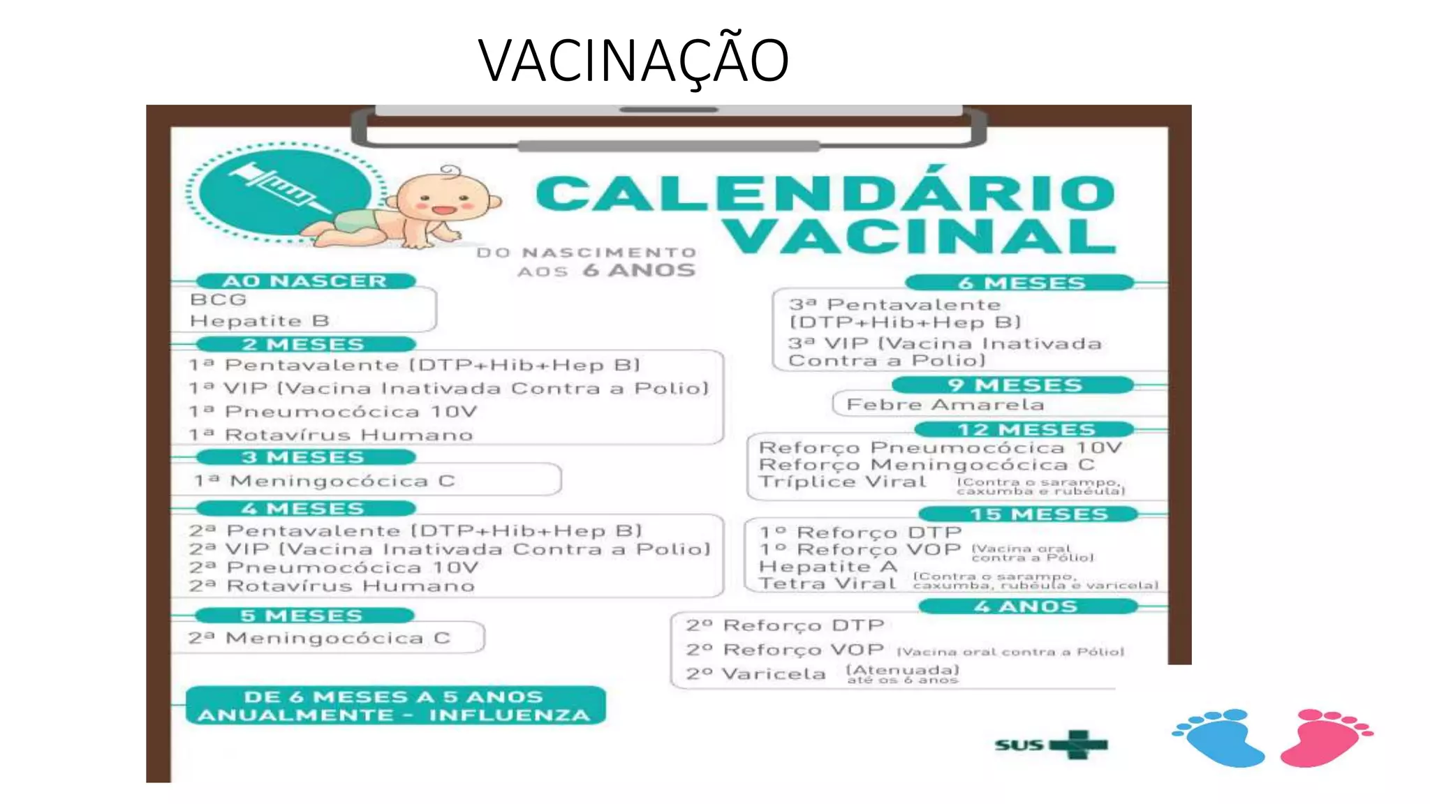 VACINAÇÃO
 