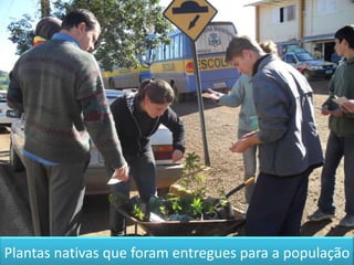 Plantas nativas que foram entregues para a população