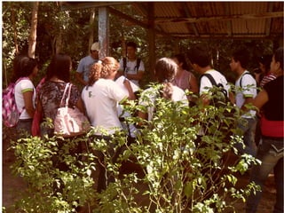 Semana do meio ambiente