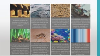 Mudanças climáticas são
causadas principalmente por
atividades antrópicas (95% de
confiança).
Derretimento glacial e a
elevação do nível do mar tem
ocorrido mais rápido do que
previsto anteriormente
(estimativa: entre 60
centímetros e 1,8 metros).
Aumentos na frequência e na
intensidade de alguns tipos de
eventos climáticos extremos,
como secas, furacões,
precipitações intensas entre
outros.
Vulnerabilidade dos sistemas ou
comunidades vulneráveis (foco
nos países menos desenvolvidos,
pois necessitam de maiores
medidas de adaptação para
atenuar os impactos).
Danificação da produção agrícola
- mudanças na disponibilidade
hídrica, segurança alimentar e
rendimento agrícola, com
impactos sobre o bem-estar dos
que habitam as áreas rurais.
Aumento de doenças
transmitidas por mosquitos ou
típicas de zonas úmidas, da
contaminação/queda de
qualidade da nutrição, doenças
cardíacas e respiratórias
associadas as ondas de calor.
Possibilidade de extinção de
algumas espécies terrestres e
de água doce. As espécies no
Ártico e nos recifes de corais
passam a correr grave risco se a
temperatura se elevar um nível
>2ºC;
Projeção de uma temperatura
média global entre 2,6 e 4,8ºC
mais alta até o final do século
XXI, dependendo do cenário
considerado, se as emissões de
GEE continuarem aumentando
no ritmo atual.
 