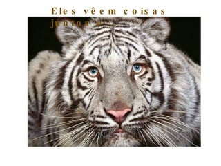 Eles vêem coisas juntos e... 