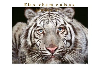 E le s v ê e m c o is a s
      ju n t o s e . . .
 