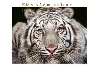 Eles vêem coisas juntos e... 