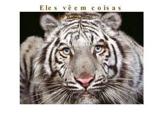 Eles vêem coisas juntos e... 