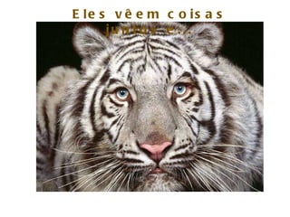 Eles vêem coisas juntos e... 