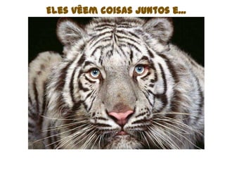 Eles vêem coisas juntos e...
 