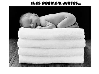 Eles dormem juntos...
 