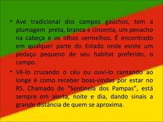 • Ave tradicional dos campos gaúchos, tem a
plumagem preta, branca e cinzenta, um penacho
na cabeça e os olhos vermelhos. É encontrado
em qualquer parte do Estado onde existe um
pedaço pequeno de seu habitat preferido, o
campo.
• Vê-lo cruzando o céu ou ouvi-lo cantando ao
longe é como receber boas-vindas por estar no
RS. Chamado de “Sentinela dos Pampas”, está
sempre em alerta, noite e dia, dando sinais a
grande distância de quem se aproxima.
 