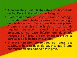 • A erva-mate é uma planta nativa do Rio Grande
do Sul, Paraná, Mato Grosso e Paraguai.
• Para tomar mate, os índios usavam o porongo,
fruto de uma planta rasteira. Esse porongo,
depois de seco e cortado fornecia um recipiente.
A água era servida através de um canudo de
taquara chamado tacuápi. Este canudo
apresentava na base inferior um detalhado
trançado de fibras, o bojo, impedindo que as
partículas da folha fossem sugadas.
• O mate também simbolizou, ao longo dos
séculos, a hospitalidade do gaúcho, que é uma
das marcas tradicionais do nosso povo.
 