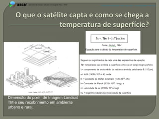 APRESENTAÇÃO EM PELOTAS (RS), 7 DE DEZEMBRO DE 2012




Dimensão do pixel de Imagem Landsat
TM e seu recobrimento em ambiente
urbano e rural.
 
