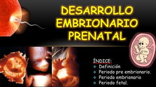 ÍNDICE:
 Definición
 Periodo pre embrionario.
 Periodo embrionario
 Periodo fetal.
DESARROLLO
EMBRIONARIO
PRENATAL
 