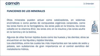 FUNCIONES DE LOS MINERALES
Algunos de ellos forman tejidos duros como los huesos y los dientes; otros se
encuentran en los líquidos y tejidos blandos.
Los electrólitos, entre los cuales los más importantes son las sales de sodio y
potasio, son substancias de gran importancia en el control osmótico del
metabolismo hídrico.
Otros minerales pueden actuar como catalizadores, en sistemas
enzimáticos o como partes de compuestos orgánicos corporales, como
los iones hierro en la hemoglobina, los iones yodo en la tiroxina, los iones
cobalto en la vitamina B12, los iones zinc en la insulina y los iones azufre
en la tiamina y en la biotina.
3. Entender
 