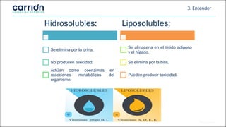 3. Entender
Hidrosolubles:
Se elimina por la orina.
No producen toxicidad.
Actúan como coenzimas en
reacciones metabólicas del
organismo.
Liposolubles:
Se almacena en el tejido adiposo
y el hígado.
Se elimina por la bilis.
Pueden producir toxicidad.
 