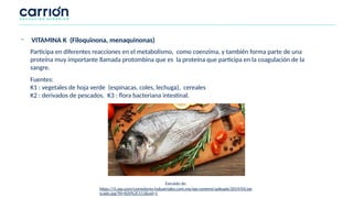 Participa en diferentes reacciones en el metabolismo, como coenzima, y también forma parte de una
proteína muy importante llamada protombina que es la proteína que participa en la coagulación de la
sangre.
Fuentes:
K1 : vegetales de hoja verde (espinacas, coles, lechuga), cereales
K2 : derivados de pescados. K3 : flora bacteriana intestinal.
- VITAMINA K (Filoquinona, menaquinonas)
Extraído de:
https://i1.wp.com/comedores-industriales.com.mx/wp-content/uploads/2019/05/pe
scado.jpg?fit=820%2C513&ssl=1
 