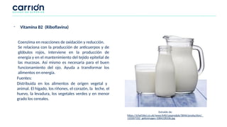 Fuentes:
Distribuida en los alimentos de origen vegetal y
animal. El hígado, los riñones, el corazón, la leche, el
huevo, la levadura, los vegetales verdes y en menor
grado los cereales.
Coenzima en reacciones de oxidación y reducción.
Se relaciona con la producción de anticuerpos y de
glóbulos rojos, interviene en la producción de
energía y en el mantenimiento del tejido epitelial de
las mucosas. Así mismo es necesaria para el buen
funcionamiento del ojo. Ayuda a transformar los
alimentos en energía.
- Vitamina B2 (Riboflavina)
Extraído de:
https://ichef.bbci.co.uk/news/640/cpsprodpb/5B4A/production/_
110207332_gettyimages-1084228336.jpg
 