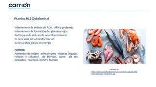 Interviene en la síntesis de ADN, ARN y proteínas.
Interviene en la formación de glóbulos rojos.
Participa en la síntesis de neurotransmisores.
Es necesaria en la transformación
de los ácidos grasos en energía
Fuentes:
Alimentos de origen animal como vísceras (hígado,
riñones y corazón) de bovinos, carne de res,
pescados, mariscos, leche y huevos
- Vitamina B12 (Cobalamina)
Extraído de:
https://dam.cocinafacil.com.mx/wp-content/uploads/202
0/07/pescados-y-mariscos.jpg
 