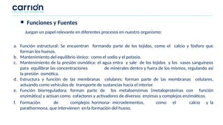 a. Función estructural: Se encuentran formando parte de los tejidos, como el calcio y fósforo que
forman los huesos.
b. Mantenimiento del equilibrio iónico: como el sodio y el potasio.
c. Mantenimiento de la presión osmótica: el agua entra y sale de los tejidos y los vasos sanguíneos
para equilibrar las concentraciones de minerales dentro y fuera de los mismos, regulando así
la presión osmótica.
d. Estructura y función de las membranas celulares: forman parte de las membranas celulares,
actuando como vehículos de transporte de sustancias hacia el interior.
e. Función biorreguladora: forman parte de los metaloenzimas (metaloproteínas con función
enzimática) y actúan como cofactores y activadores de diversos enzimas y complejos enzimáticos.
f. Formación de complejos hormona- microelementos, como el calcio y la
parathormona, que intervienen enla formación del hueso.
Juegan un papel relevante en diferentes procesos en nuestro organismo:
● Funciones y Fuentes
 