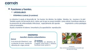 ● Funciones y fuentes.
La vitamina A ayuda al desarrollo de los huesos, los dientes, los tejidos blandos, las mucosas y la piel.
También ayuda a la formación de la retina, por lo que se conoce también como retinol. Contribuye además a
la prevención de enfermedades infecciosas, especialmente del aparato respiratorio u otras patologías
como el sarampión.
Ayuda a mantener el sistema inmunitario y la capacidad de reproducción.
Retinol
Es la forma de Vitamina A que
se absorbe al comer fuentes de
alimentos de origen animal.
SINONIMIA
Axeroftol, vitamina antixeroftalmica
β-caroteno
Se encuentra en alimentos de
o.vegetal, como frutas y verduras,
funcionan como provit. A.
Extraído de:
https://primicias24.s3.amazonaws.com/public/uplo
ads/2021/03/9-10.jpg
- VITAMINA A (retinol, β-caroteno)
➢ LIPOSOLUBLES
 