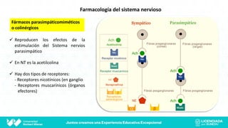 Farmacología del sistema nervioso
Fármacos parasimpáticomiméticos
o colinérgicos
 Reproducen los efectos de la
estimulación del Sistema nervios
parasimpático
 En NT es la acetilcolina
 Hay dos tipos de receptores:
- Receptores nicotínicos (en ganglio
- Receptores muscarínicos (órganos
efectores)
 