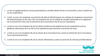 1. La Ach se segrega desde los nervios parasimpáticos y también desde fuentes no neuronales, como el epitelio de
las vías respiratorias
2. La Ach se une a los receptores muscarínicos de todo el árbol bronquial, Los subtipos de receptores muscarínicos
del árbol bronquial son M1, M9, y M7. Los receptores M3 son el subtipo de receptor dominante en la regulación
de la secreción de moco y de la contracción de la musculatura lisa de las vías respiratorias
3. La Ach se une a los receptores M3 de las células caliciformes del epitelio de las vías respiratorias y de las
glándulas submucosas de la luz de las vías respiratorias para estimular la secreción de moco
4. La Ach se une a los receptores M3 de las células de la musculatura lisa y activa la contracción de la musculatura
lisa y la broncoconstricción
5. La Ach se une a los receptores M3 de las células inflamatorias y activa la secreción de citocinas proinflamatorias
 