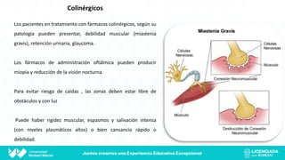 Colinérgicos
Los pacientes en tratamiento con fármacos colinérgicos, según su
patología pueden presentar, debilidad muscular (miastenia
gravis), retención urinaria, glaucoma.
Los fármacos de administración oftálmica pueden producir
miopía y reducción de la visión nocturna.
Para evitar riesgo de caídas , las zonas deben estar libre de
obstáculos y con luz
Puede haber rigidez muscular, espasmos y salivación intensa
(con niveles plasmáticos altos) o bien cansancio rápido o
debilidad.
 