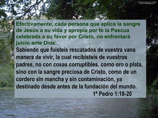 Efectivamente, cada persona que aplica la sangre de Jesús a su vida y apropia por fe la Pascua celebrada a su favor por Cristo, no enfrentará juicio ante Dios: Sabiendo que fuisteis rescatados de vuestra vana manera de vivir, la cual recibisteis de vuestros padres, no con cosas corruptibles, como oro o plata, sino con la sangre preciosa de Cristo, como de un cordero sin mancha y sin contaminación, ya destinado desde antes de la fundación del mundo.   1ª Pedro 1:18-20 