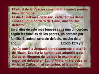 El ritual de la Pascua consideraba varios puntos bien definidos: El día 10 del mes de Nisán, cada familia debía conseguir un cordero de 1 año, macho, sin defecto: En el diez de este mes tómese cada uno un cordero según las familias de los padres, un cordero por familia. El animal será sin defecto, macho de un año....  Exodo 12:3 y 5 Jesús entró a Jerusalén precisamente el día 10 de Nisán. Ese día la humanidad adquirió a su Cordero. Ninguno de los que lo examinaron encontró defecto en ÉL; ni Pilato, ni Herodes, ni Anás, ni Caifás, ni el centurión, ni la multitud.   