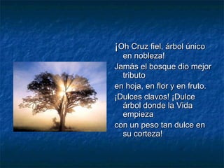 ¡¡Oh Cruz fiel, árbol únicoOh Cruz fiel, árbol único
en nobleza!en nobleza!
Jamás el bosque dio mejorJamás el bosque dio mejor
tributotributo
en hoja, en flor y en fruto.en hoja, en flor y en fruto.
¡Dulces clavos! ¡Dulce¡Dulces clavos! ¡Dulce
árbol donde la Vidaárbol donde la Vida
empiezaempieza
con un peso tan dulce encon un peso tan dulce en
su corteza!su corteza!
 