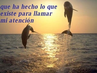 que ha hecho lo que  existe para llamar  mi atención 