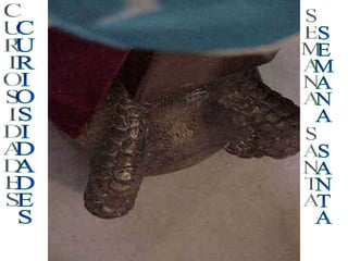 CURIOSIDADES SEMANA SANTA 