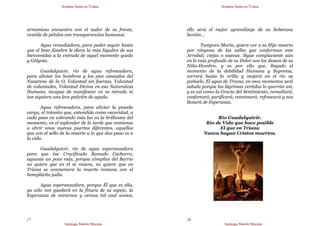 Semana Santa en Triana
Santiago Martín Moreno
17
armonioso encuentro con el sudor de su frente,
vestida de pétalos con transparencias humanas.
Agua remediadora, para poder seguir hasta
que el beso fúnebre le diera la más lúgubre de sus
bienvenidas a la entrada de aquel momento quedo
y Gólgota.
Guadalquivir, río de agua refrescadora,
para aliviar los hombros y los pies cansados del
Nazareno de la O, Voluntad sin fuerzas, Voluntad
de voluntades, Voluntad Divina en esa Naturaleza
Humana, incapaz de manifestar en su mirada ni
tan siquiera una leve petición de ayuda.
Agua refrescadora, para aliviar la pesada
carga, el tránsito que, entendido como oscuridad, a
cada paso va cobrando más luz en la brillantez del
momento, en el esplendor de la tarde que comienza
a abrir unas nuevas puertas diferentes, aquellas
que con el sello de la muerte a lo que dan paso es a
la vida.
Guadalquivir, río de agua esperanzadora
para que ése Crucificado llamado Cachorro,
aguante un poco más, porque cómplice del Barrio
no quiere que en el se muera, no quiere que en
Triana se conmemore la muerte romana con el
beneplácito judío.
Agua esperanzadora, porque Él que es ella,
ya sólo nos quedará en la finura de su espejo, la
Esperanza de mirarnos y vernos tal cual somos,
Semana Santa en Triana
Santiago Martín Moreno
18
ello será el mejor aprendizaje de su Soberana
lección…
Tampoco María, quiere ver a su Hijo muerto
por ninguna de las calles que conforman este
Arrabal; viejas o nuevas. Sigue complaciente aún
en lo más profundo de su Dolor con los deseos de su
Niño-Hombre, y es por ello que, llegado el
momento de la debilidad Humana y Suprema,
correrá hasta la orilla y mojará en el río su
pañuelo. El agua de Triana, en esos momentos será
salada porque las lágrimas vertidas lo querrán así,
y es así como la Gracia del Sentimiento, remediará,
confortará, purificará, reanimará, refrescará y nos
llenará de Esperanza.
Río Guadalquivir.
Río de Vida que hace posible
El que en Triana
Nunca hayan Cristos muertos.
 