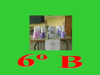 6º B 