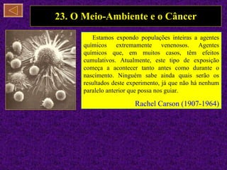 23. O Meio-Ambiente e o Câncer Estamos expondo populações inteiras a agentes químicos extremamente venenosos. Agentes químicos que, em muitos casos, têm efeitos cumulativos. Atualmente, este tipo de exposição começa a acontecer tanto antes como durante o nascimento. Ninguém sabe ainda quais serão os resultados deste experimento, já que não há nenhum paralelo anterior que possa nos guiar. Rachel Carson (1907-1964) 
