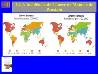 24. A Incidência de Câncer de Mama e de Próstata 