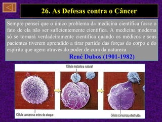 26. As Defesas contra o Câncer Sempre pensei que o único problema da medicina científica fosse o fato de ela não ser suficientemente científica. A medicina moderna só se tornará verdadeiramente científica quando os médicos e seus pacientes tiverem aprendido a tirar partido das forças do corpo e do espírito que agem através do poder de cura da natureza.  René Dubos (1901-1982) 