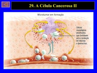 29. A Célula Cancerosa II 