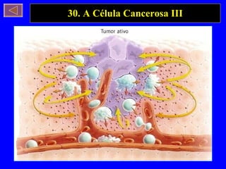 30. A Célula Cancerosa III 